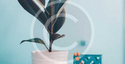 Modern Culture Fusion Trends